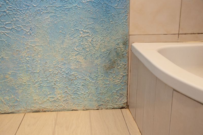 Bathroom Floor Replacement in Santa Rosa, CA
