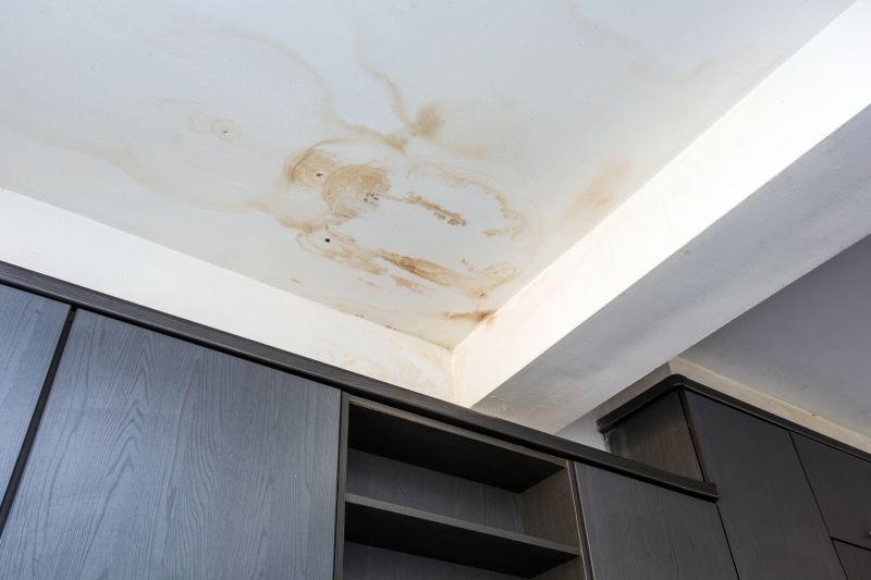 Crawl Space Remediation in Houston, TX