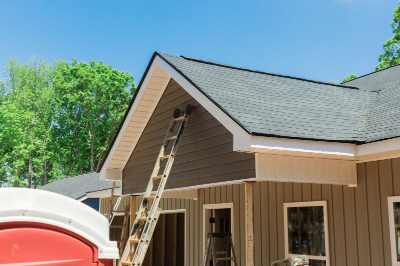 Exterior Home Repair in Denver County, CO