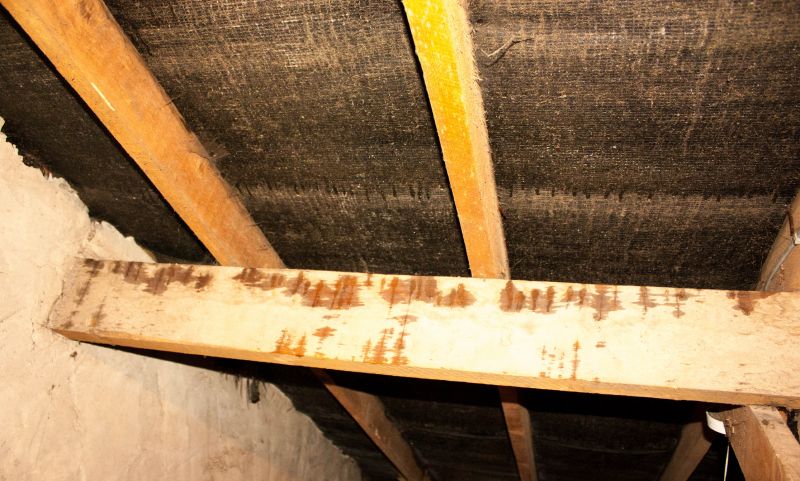 Leaking Ceiling Repair in Conroe, TX