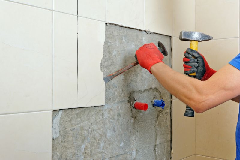 Wall Removal Service in Denver County, CO